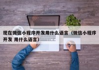 现在微信小程序开发用什么语言（微信小程序开发 用什么语言）