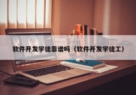 软件开发学徒靠谱吗（软件开发学徒工）