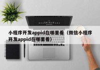 小程序开发appid在哪里看（微信小程序开发appid在哪里看）