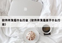 软件开发是什么行业（软件开发是属于什么行业）